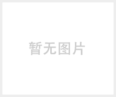 钢丸 铸造钢丸 切丸